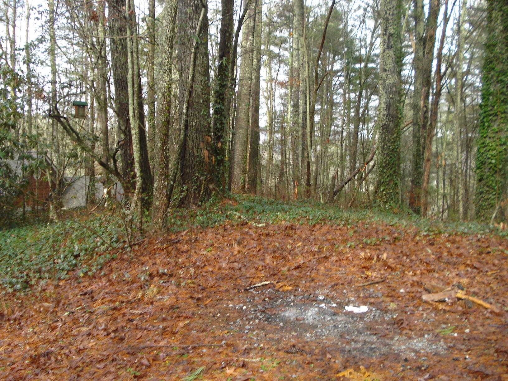 49 Loop Way, Rabun Gap, GA 30568 photo 5