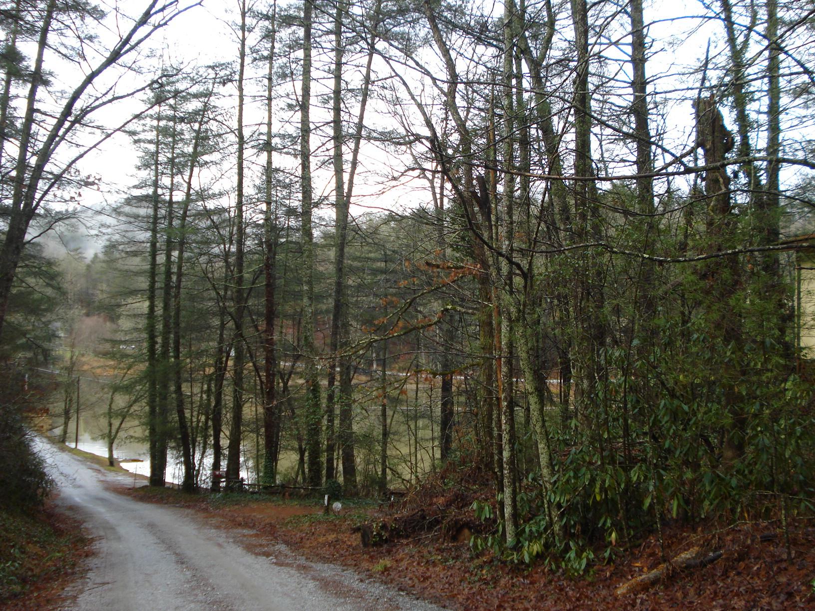 49 Loop Way, Rabun Gap, GA 30568 photo 8