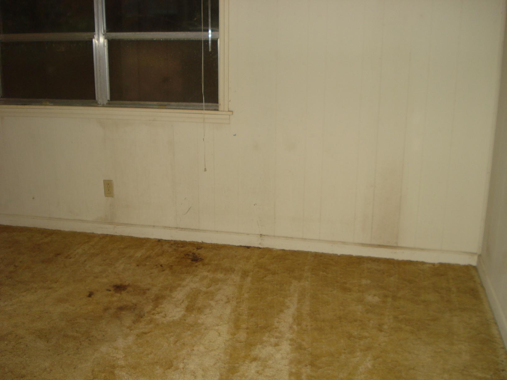 49 Loop Way, Rabun Gap, GA 30568 photo 3