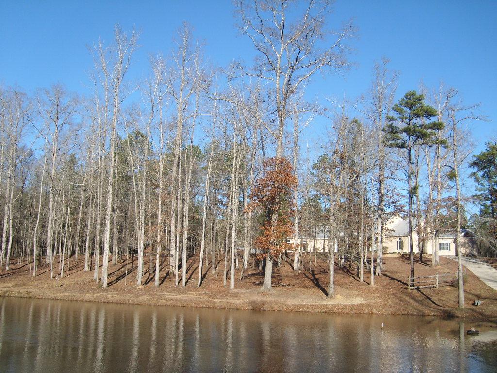 105 Cedar Pointe Dr, Lagrange, GA 30241 photo 25