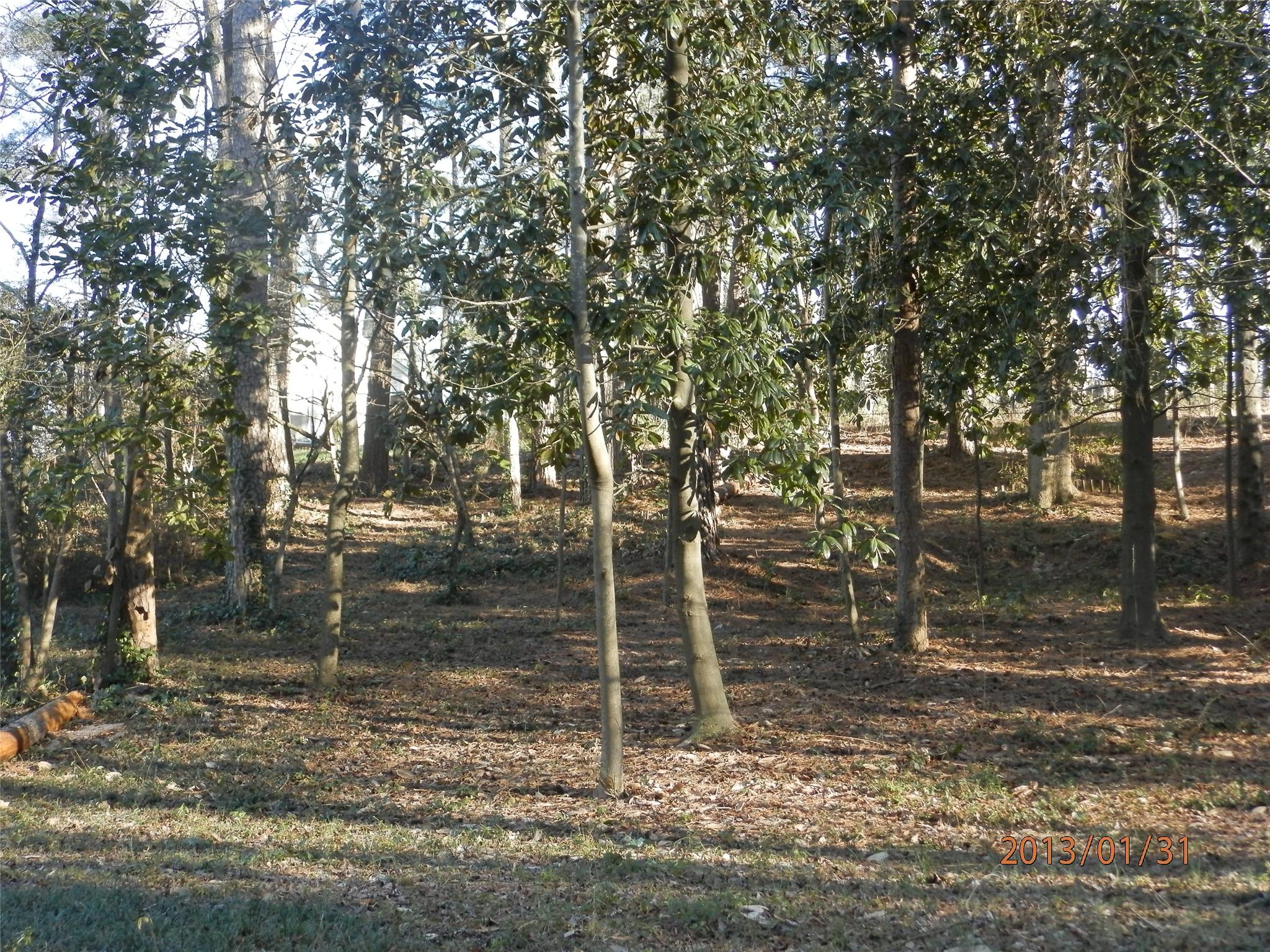 130 Cherokee Blvd, Toccoa, GA 30577 photo 7