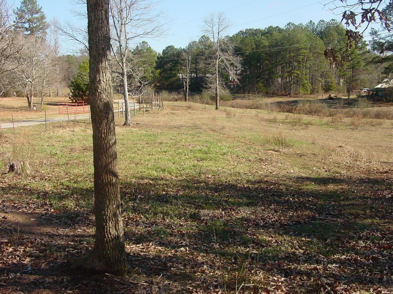 301 Miller Agan Rd, Temple, GA 30179 photo 7
