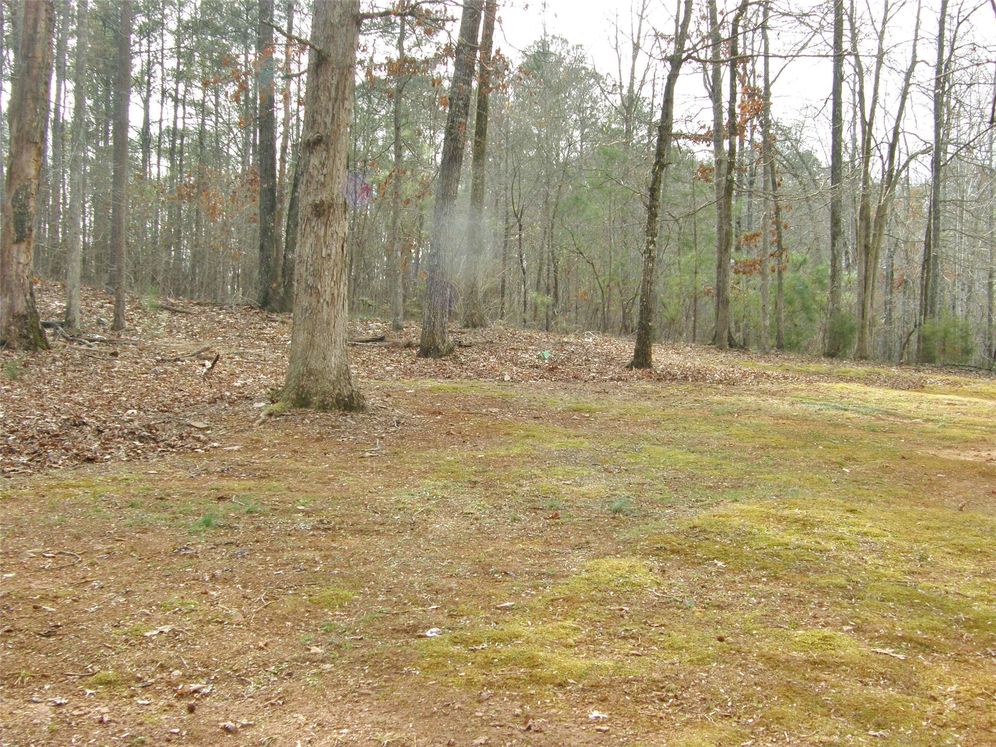 220 Cumberland Dr, Lagrange, GA 30240 photo 21