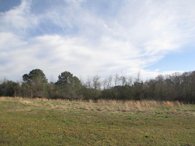 122 Rowland Rd, Brooks, GA 30205 photo 16