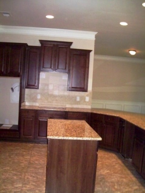 293 Snow Bird Dr, Hampton, GA 30228 photo 9