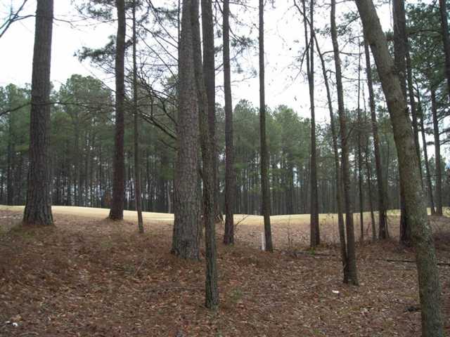 10153 N Links Dr, Covington, GA 30014 photo 3
