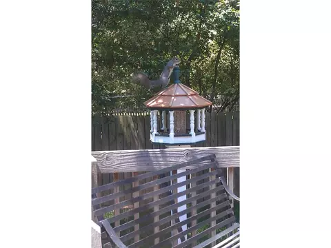 102 Jester Ct, Williamston, SC 29697 photo 21