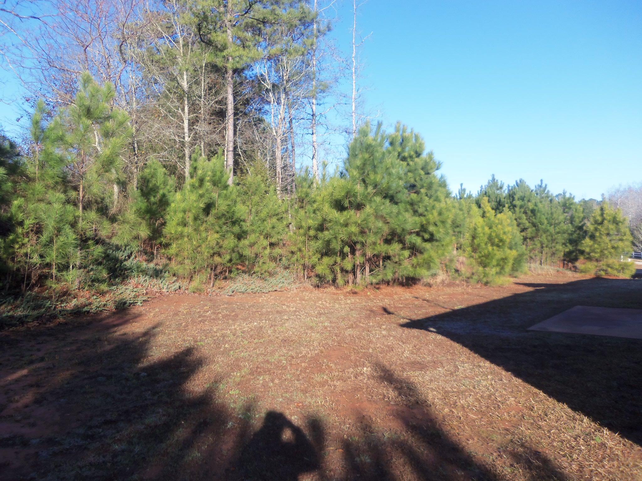 20 Autumn Ct, Covington, GA 30016 photo 9
