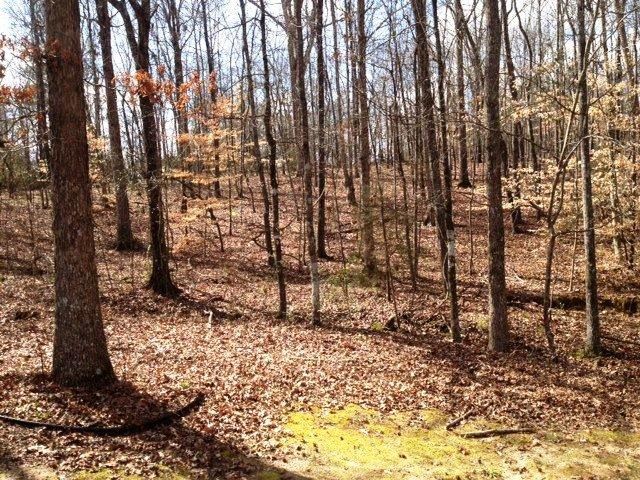 75 Applebaum Way, Colbert, GA 30628 photo 24