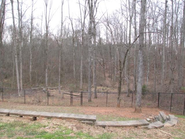 600 Chase Ridge Dr, Mcdonough, GA 30253 photo 20