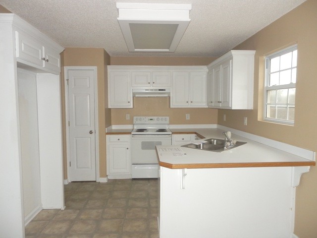 771 Moss Side Dr, Bethlehem, GA 30620 photo 3