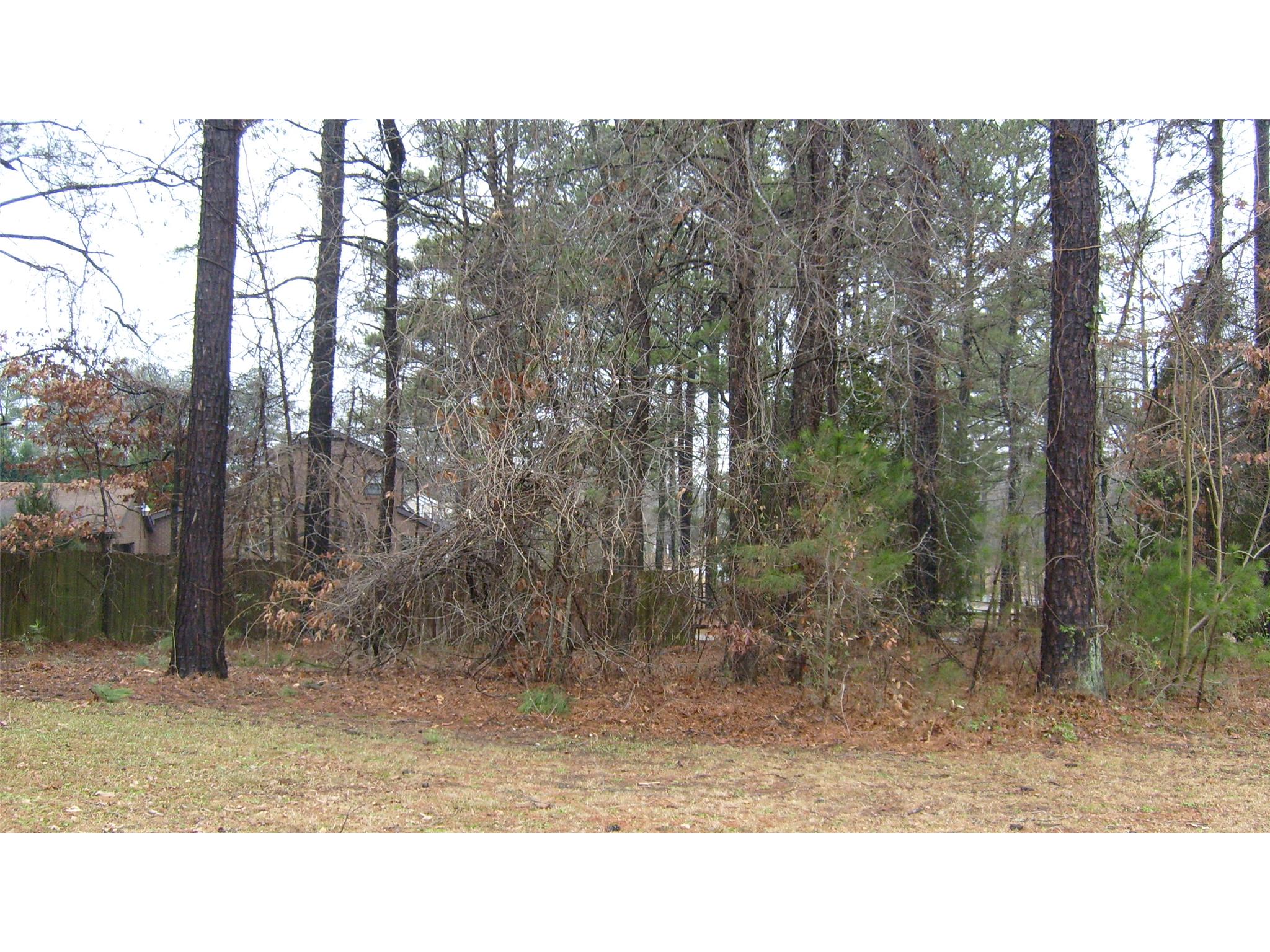 1443 Lovejoy Rd, Hampton, GA 30228 photo 2