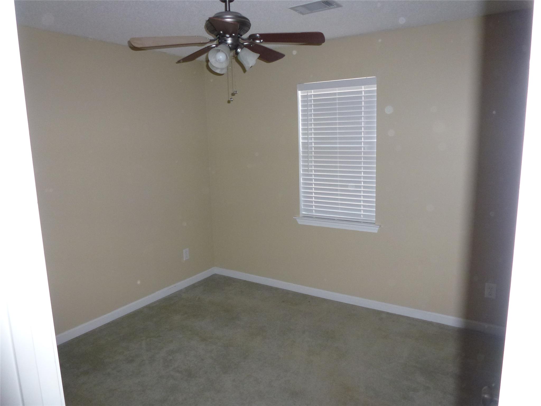 307 Christian, Hampton, GA 30228 photo 8