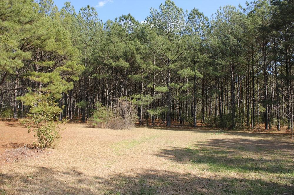 488 Johnson Mill Rd, Hamilton, GA 31811 photo 20