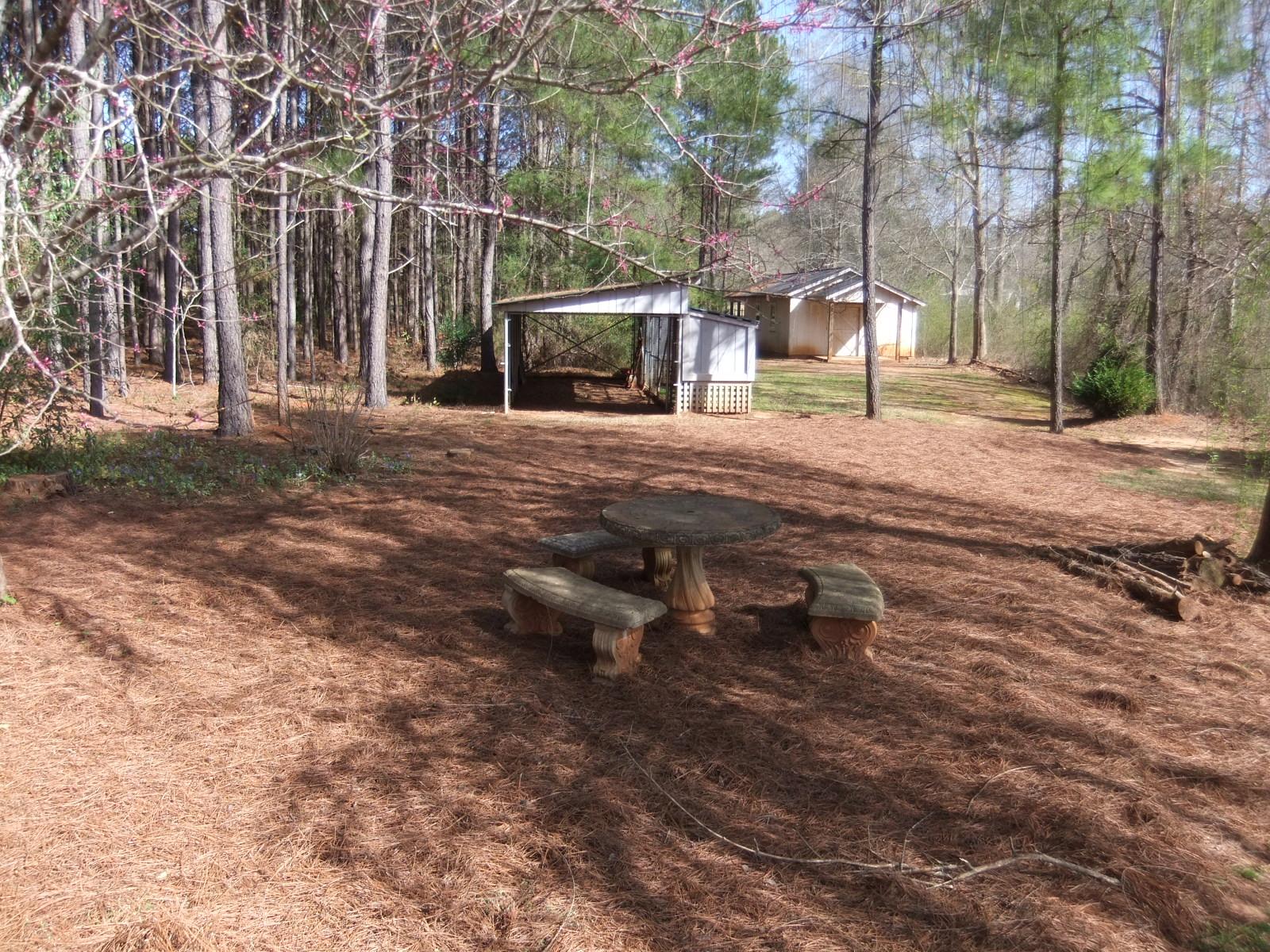 45 Morgan Rd, Covington, GA 30014 photo 17