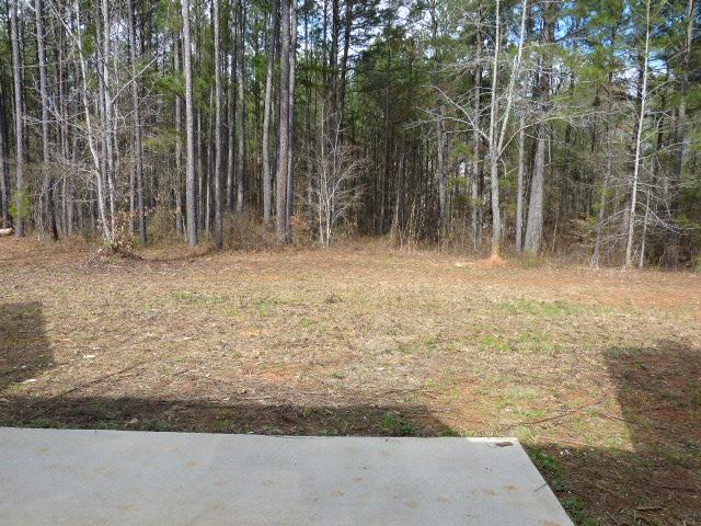 1523 Pickett Bridge Rd, Covington, GA 30016 photo 22