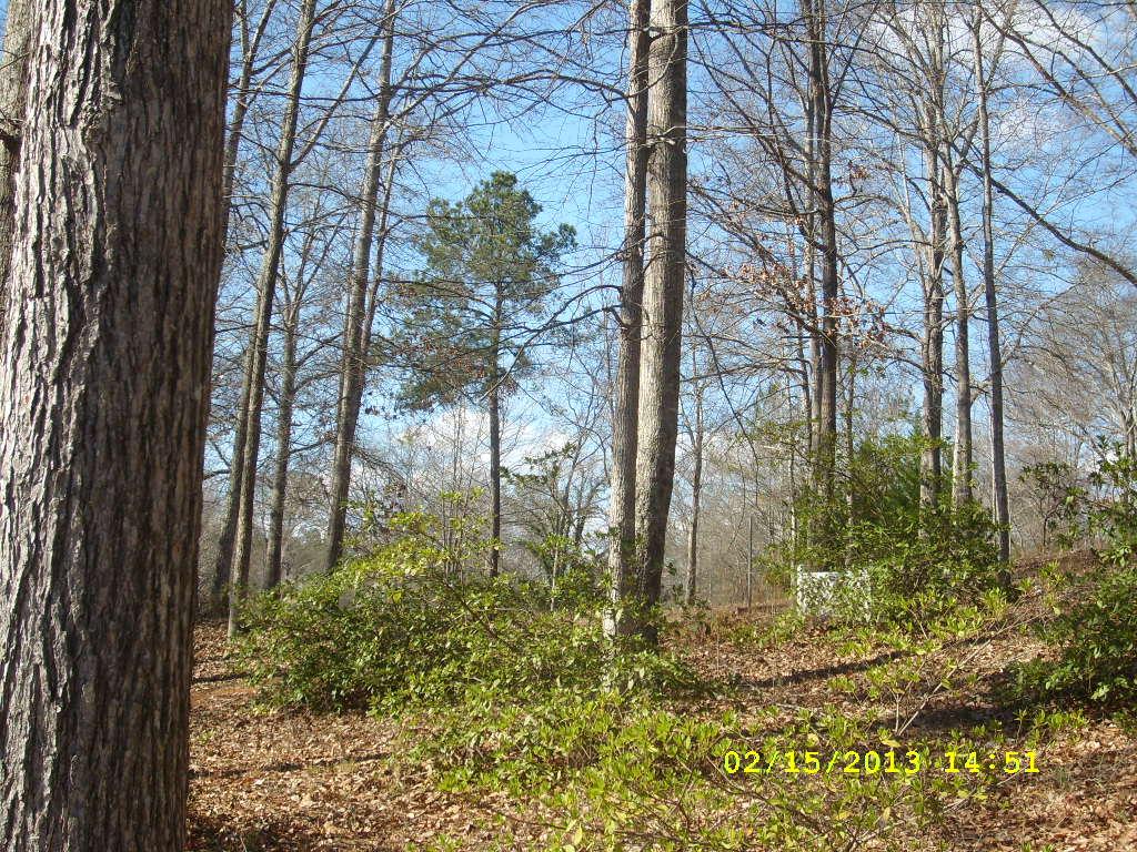 104 Chimney Ct, Lagrange, GA 30240 photo 16