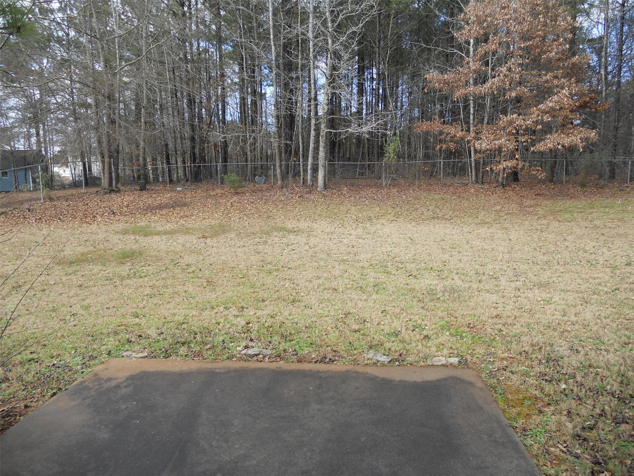 2900 Rosecommons Dr, Hampton, GA 30228 photo 8
