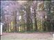 951 Culpepper Rd, Carnesville, GA 30521 photo 8