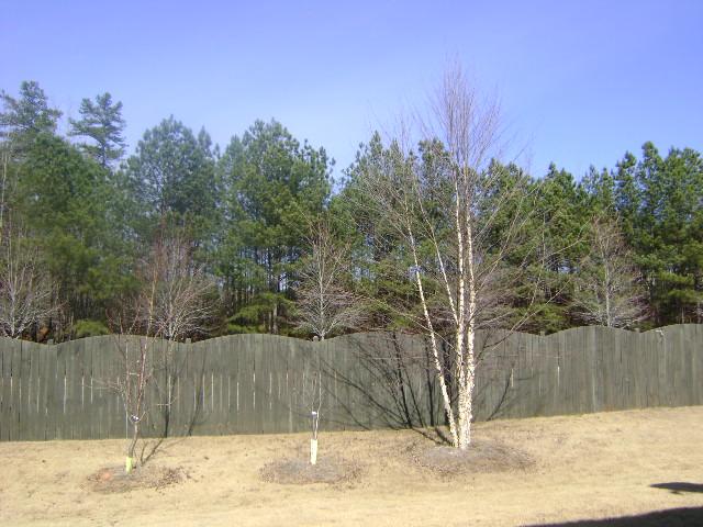 11230 Gates Ter, Duluth, GA 30097 photo 16