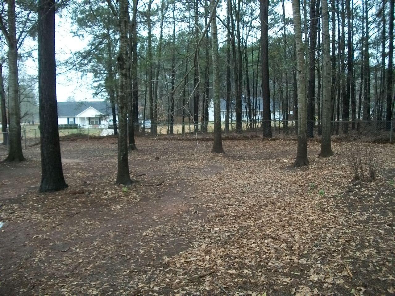 103 Starlake Dr, Jackson, GA 30233 photo 2