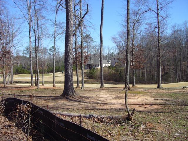 2581 Lake Erma Dr, Hampton, GA 30228 photo 9