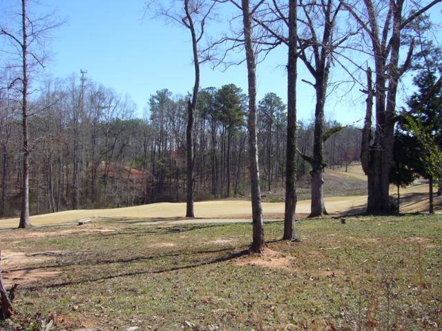2581 Lake Erma Dr, Hampton, GA 30228 photo 10