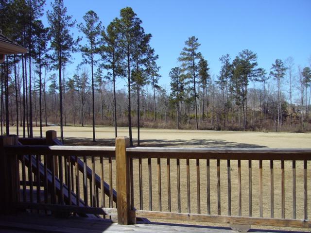 2572 Lake Erma Dr, Hampton, GA 30228 photo 12