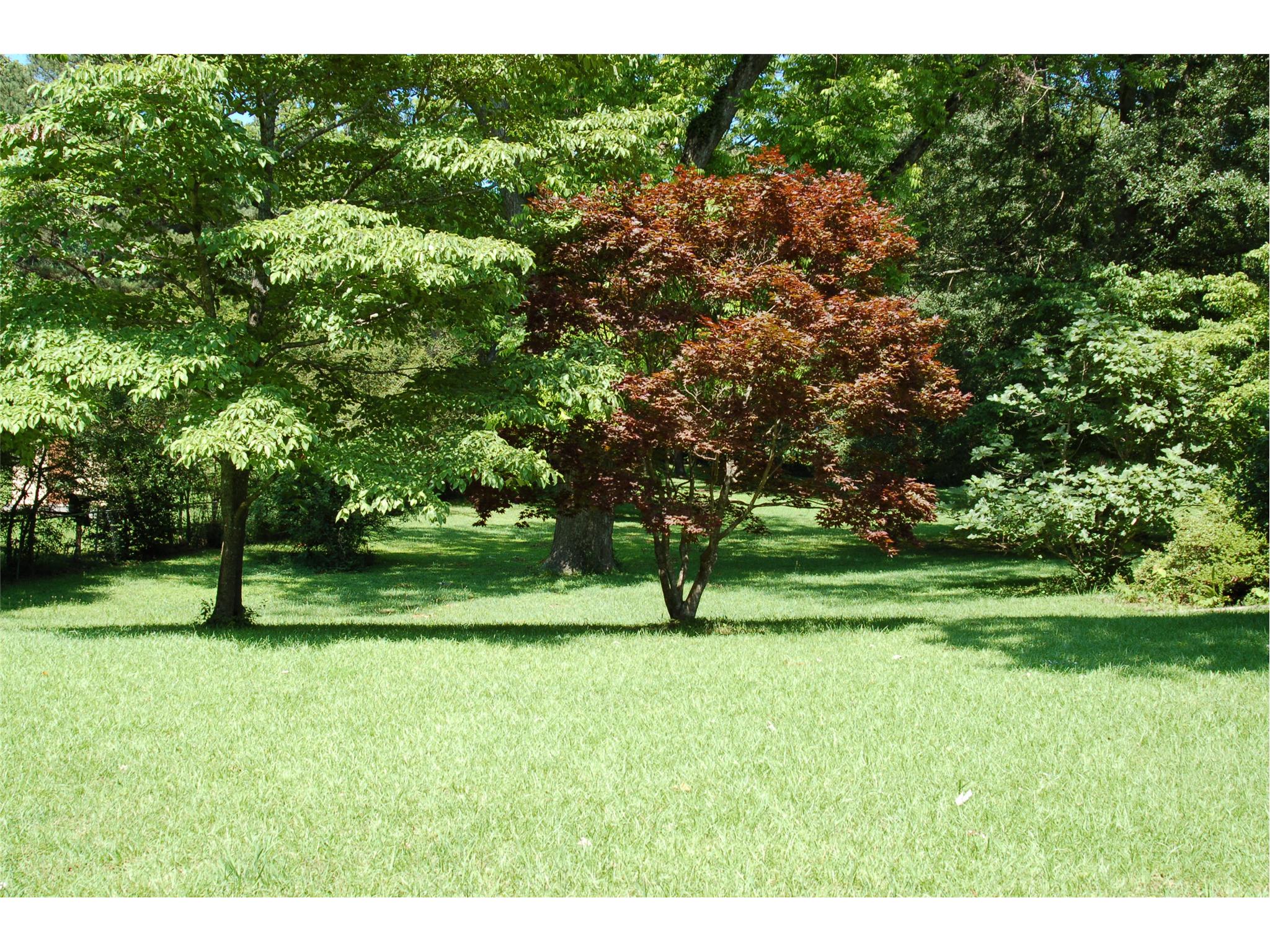 214 Sivell Rd, Lagrange, GA 30241 photo 5