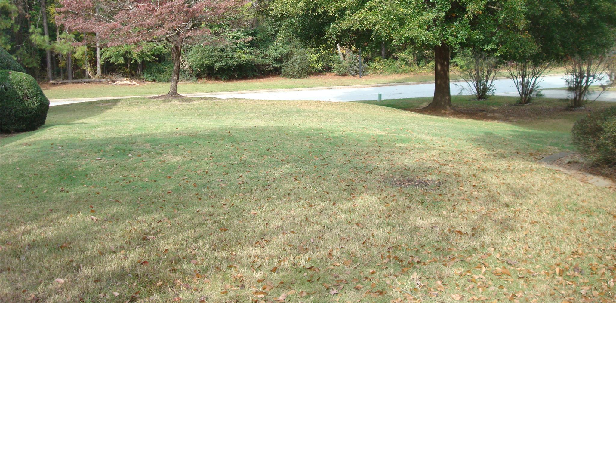 3566 Grey Fox Chase, Lithonia, GA 30038 photo 3