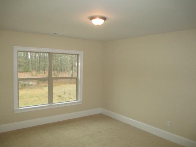 2352 Braunsroth Ln, Hampton, GA 30228 photo 14