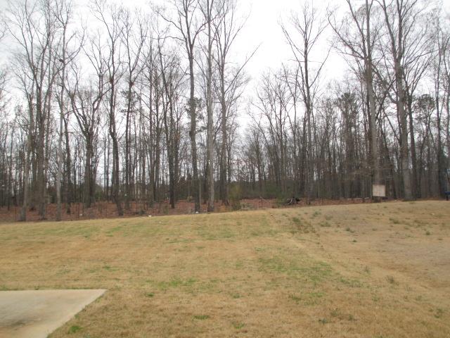 2352 Braunsroth Ln, Hampton, GA 30228 photo 17