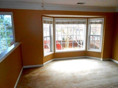 780 Abbotts Mill Ct, Duluth, GA 30097 photo 15