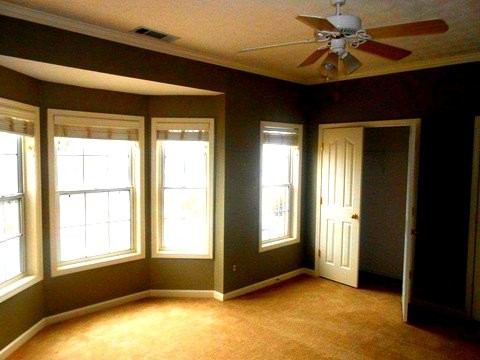 780 Abbotts Mill Ct, Duluth, GA 30097 photo 13