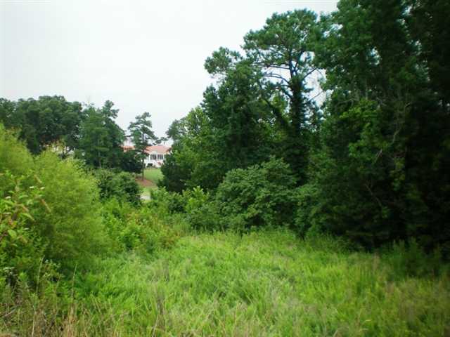 2343 Grady Ridge Trl, Duluth, GA 30097 photo 4