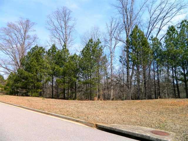 2824 Pebble Hill Pt, Duluth, GA 30097 photo 2