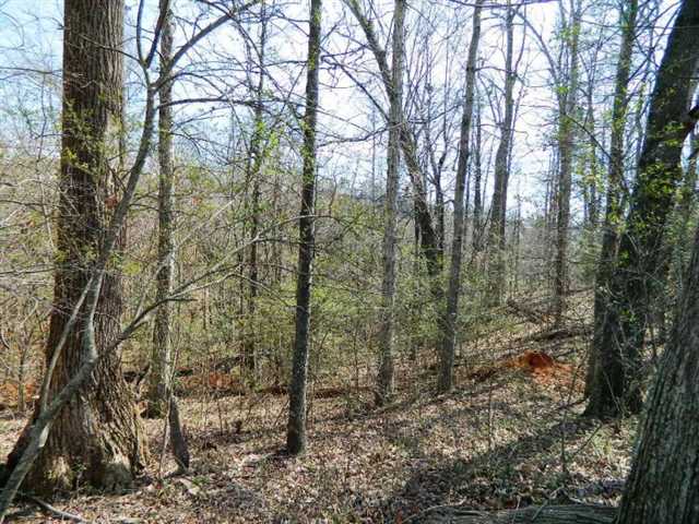 2824 Pebble Hill Pt, Duluth, GA 30097 photo 3