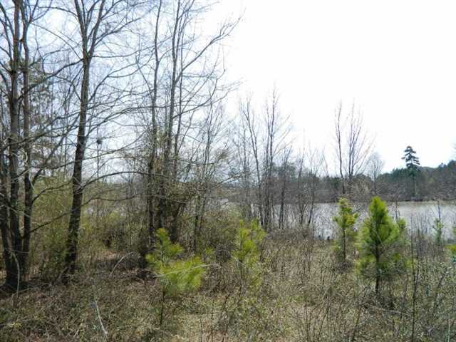 2849 Pebble Hill Pt, Duluth, GA 30097 photo 4