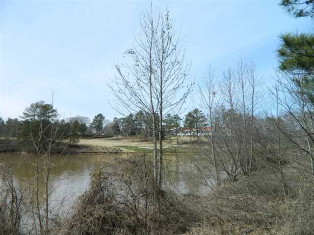 2849 Pebble Hill Pt, Duluth, GA 30097 photo 3