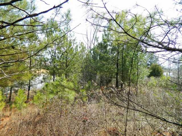 2844 Pebble Hill Pt, Duluth, GA 30097 photo 5
