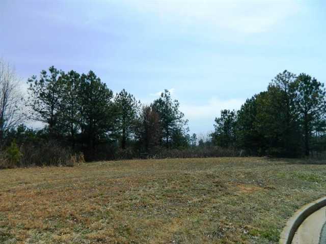 2844 Pebble Hill Pt, Duluth, GA 30097 photo 3