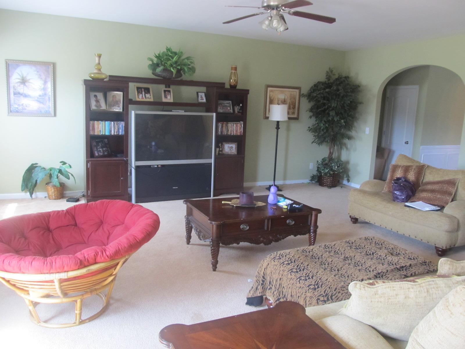 587 Cornelius Dr, Hampton, GA 30228 photo 2