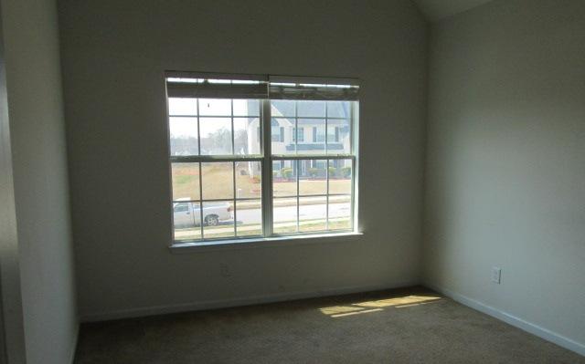 13186 Henderson Dr, Hampton, GA 30228 photo 8