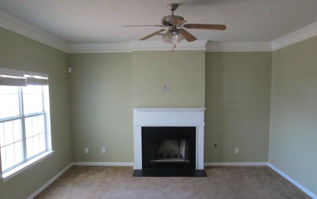13186 Henderson Dr, Hampton, GA 30228 photo 4