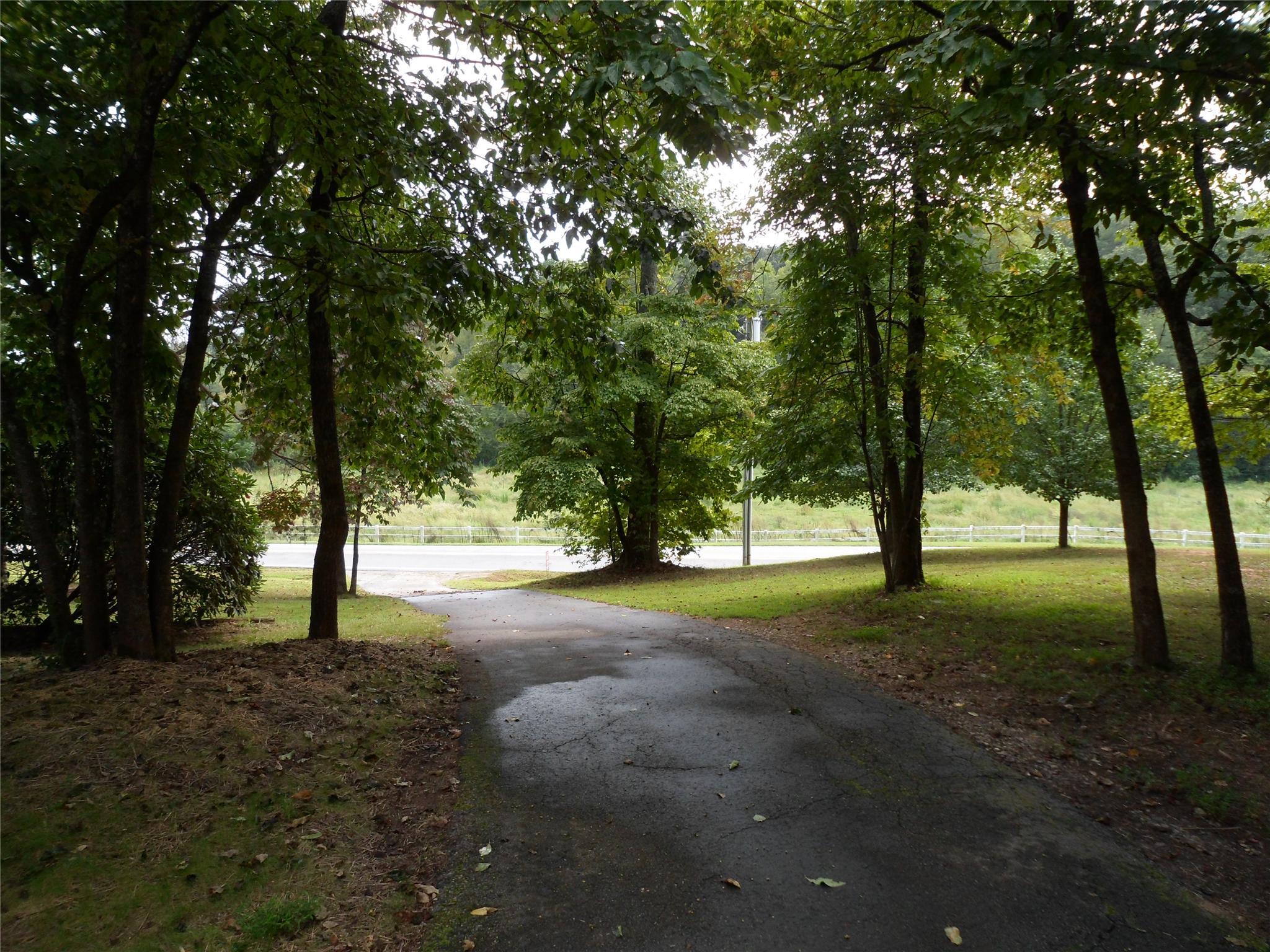 1003 E Mize Rd, Demorest, GA 30535 photo 5