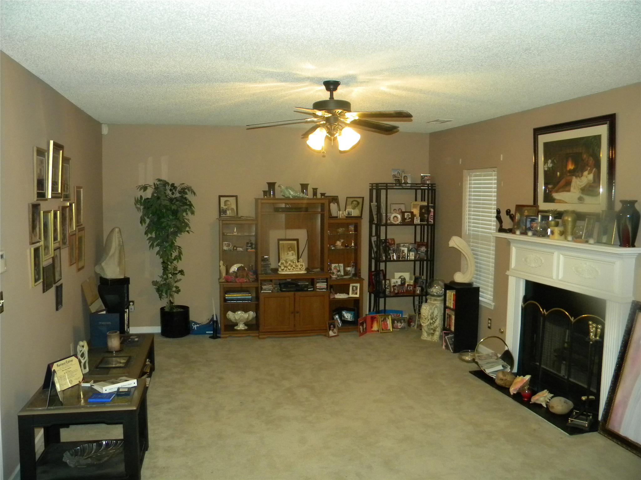 972 Tara Bnd, Hampton, GA 30228 photo 2