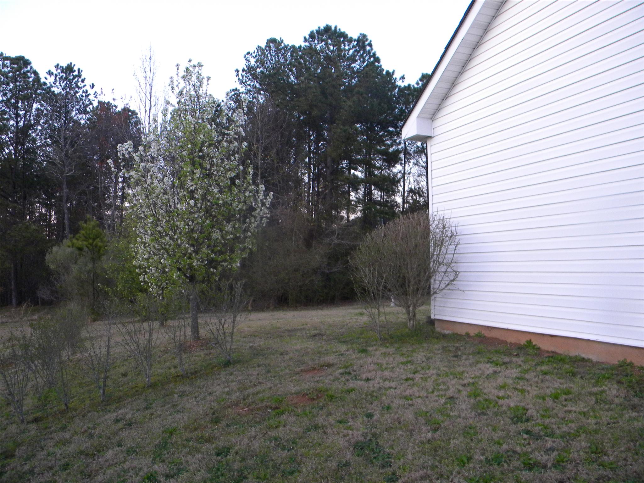 972 Tara Bnd, Hampton, GA 30228 photo 16