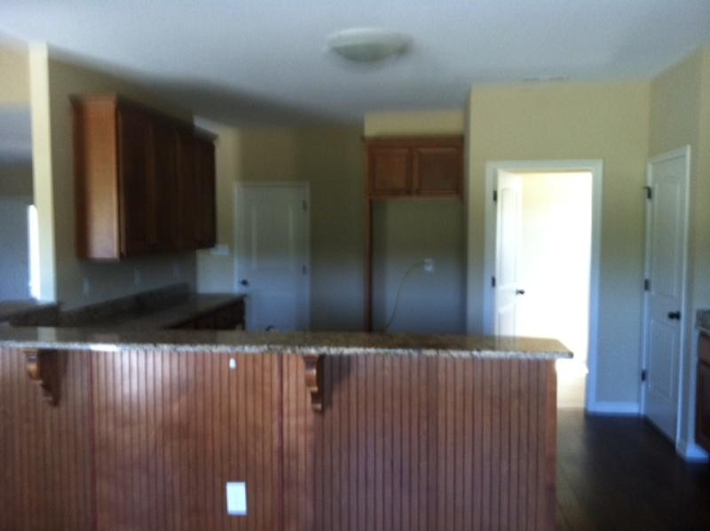 2002 Sawgrass Dr, Hampton, GA 30228 photo 5