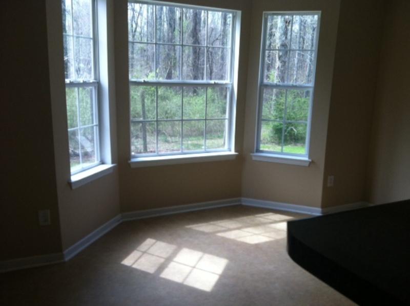 2002 Sawgrass Dr, Hampton, GA 30228 photo 12