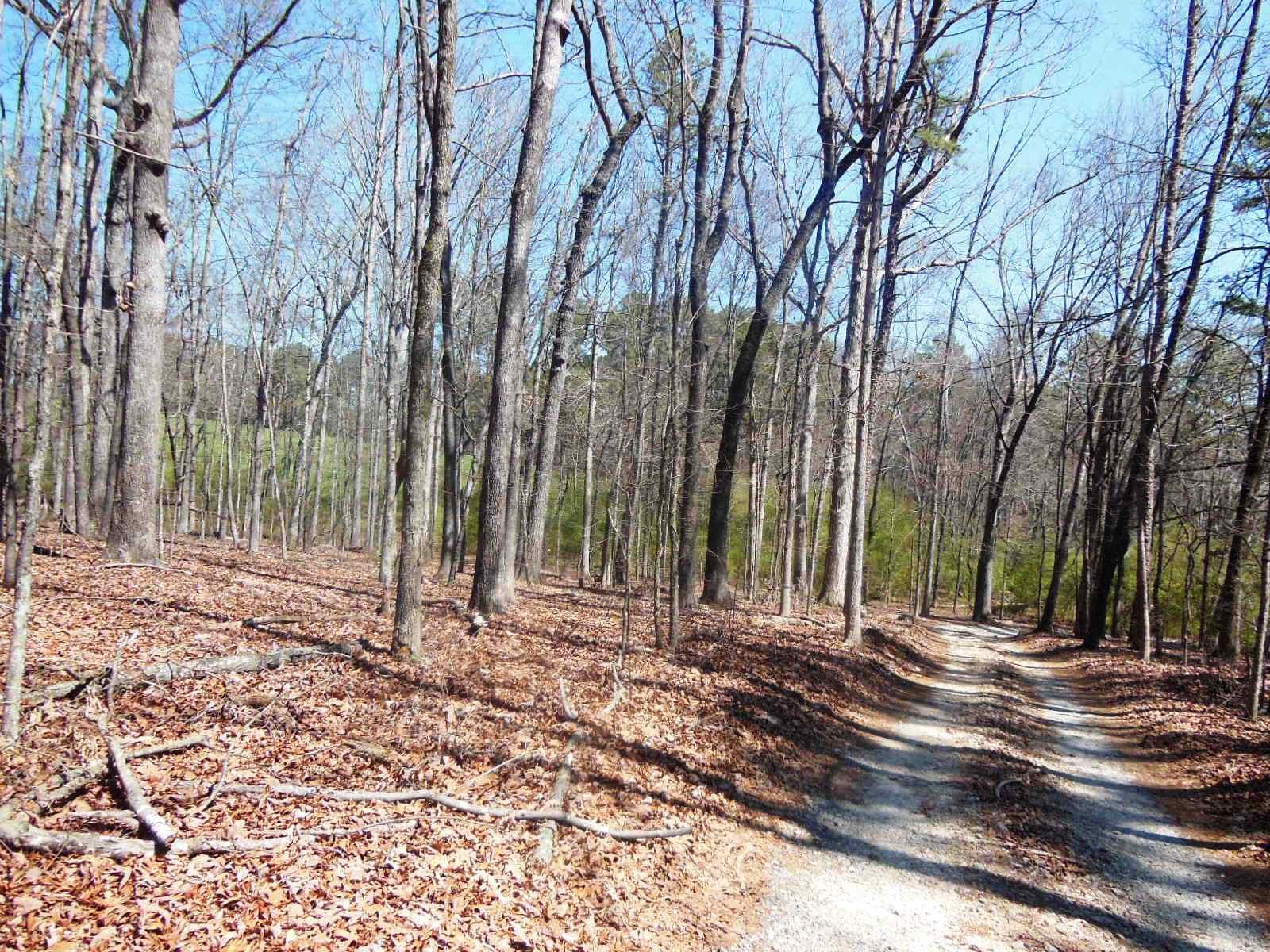 369 Shady Ln, Toccoa, GA 30577 photo 4